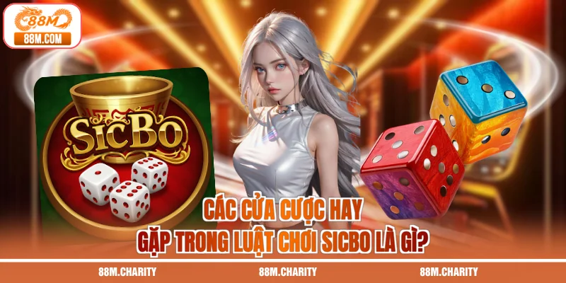 Các cửa cược hay gặp trong luật chơi Sicbo là gì?