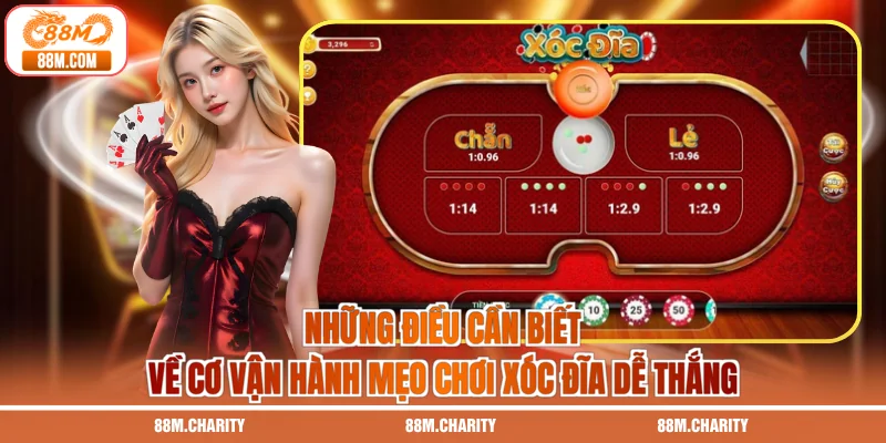 Những điều cần biết về cơ vận hành mẹo chơi xóc đĩa dễ thắng